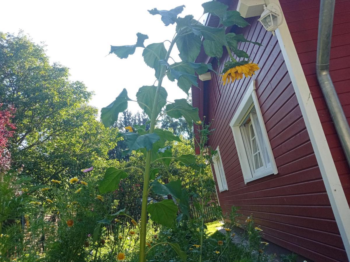 Ferienhaus Am Wald Wippra ภายนอก รูปภาพ