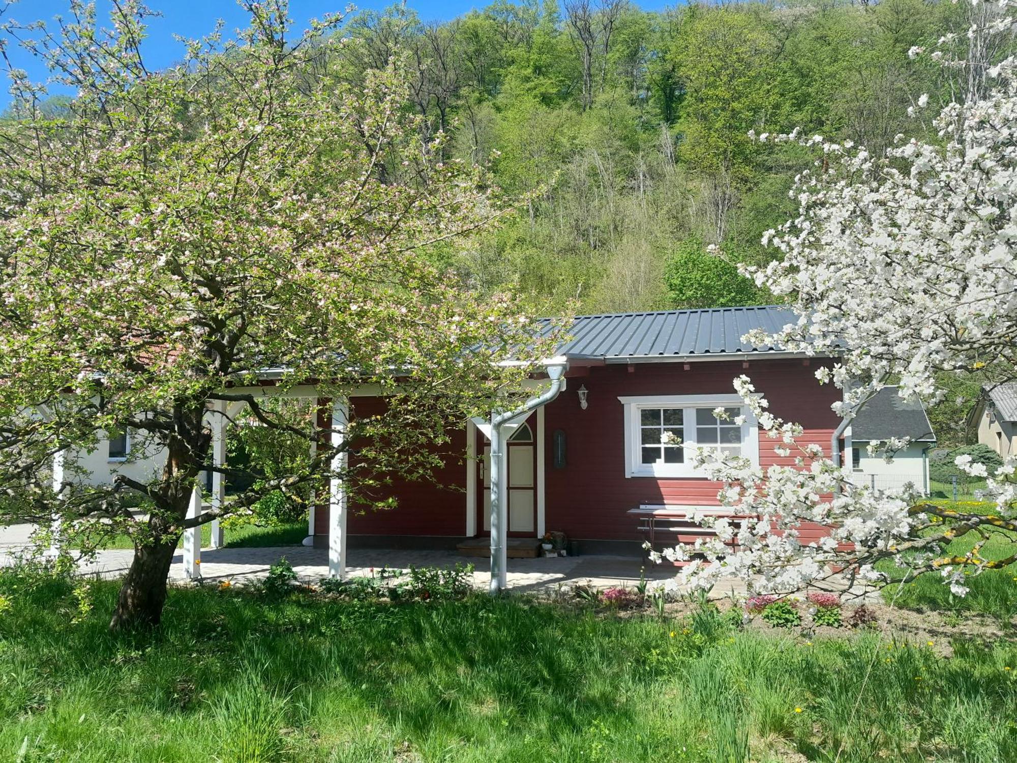 Ferienhaus Am Wald Wippra ภายนอก รูปภาพ